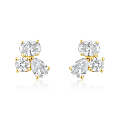 Fancy Combination Earrings