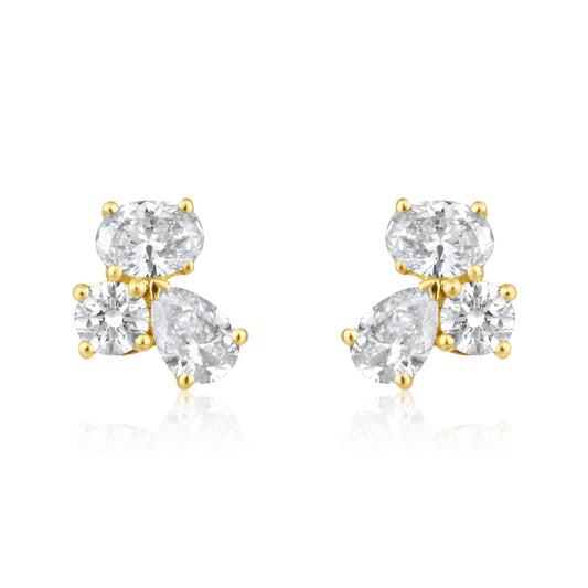 Fancy Combination Earrings