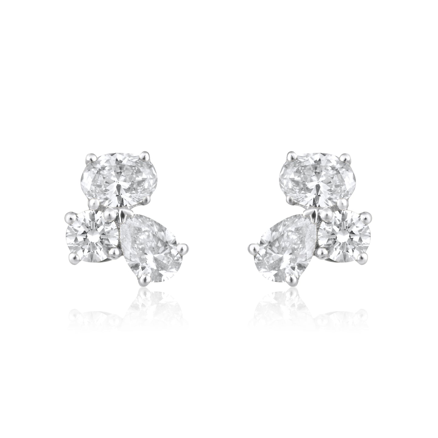 Fancy Combination Earrings