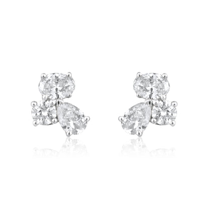 Fancy Combination Earrings